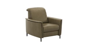 Sessel Bolivien - Kopfteil verstellbar, Leder, Braungrün