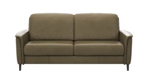 Sofa Bolivien - 2,5-Sitzer groß, Kopfteil verstellbar, Leder, Braungrün