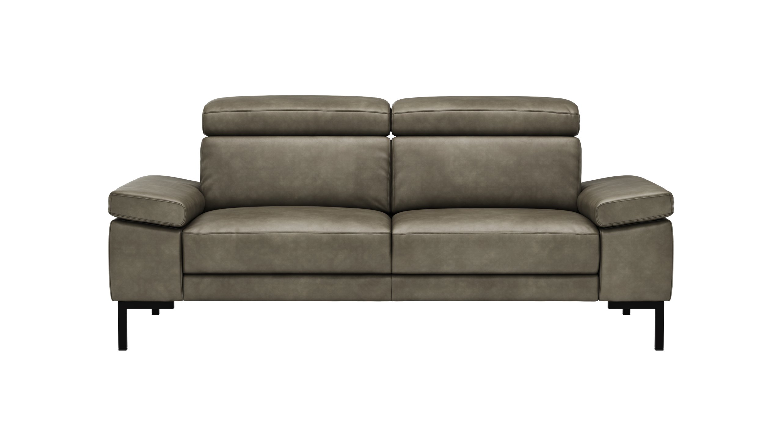 Sofa Hudson - 2,5-Sitzer, inkl. Kopfteil verstellbar, Leder, Braungrün