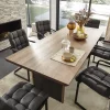 Freischwinger Cambridge - Leder, Anthrazit – Bild 5