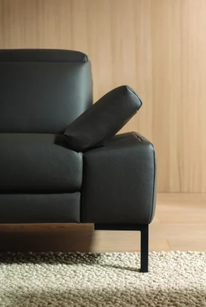 Sofa Braska - 2,5-Sitzer, inkl. Kopfstütze und Armlehne verstellbar, Leder, Anthrazit